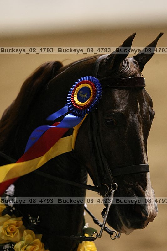 Proof buckeye_08_4793