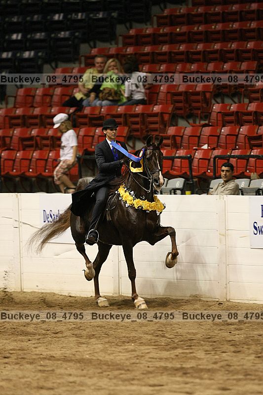 Proof buckeye_08_4795