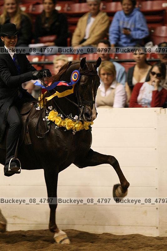 Proof buckeye_08_4797