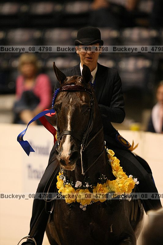 Proof buckeye_08_4798