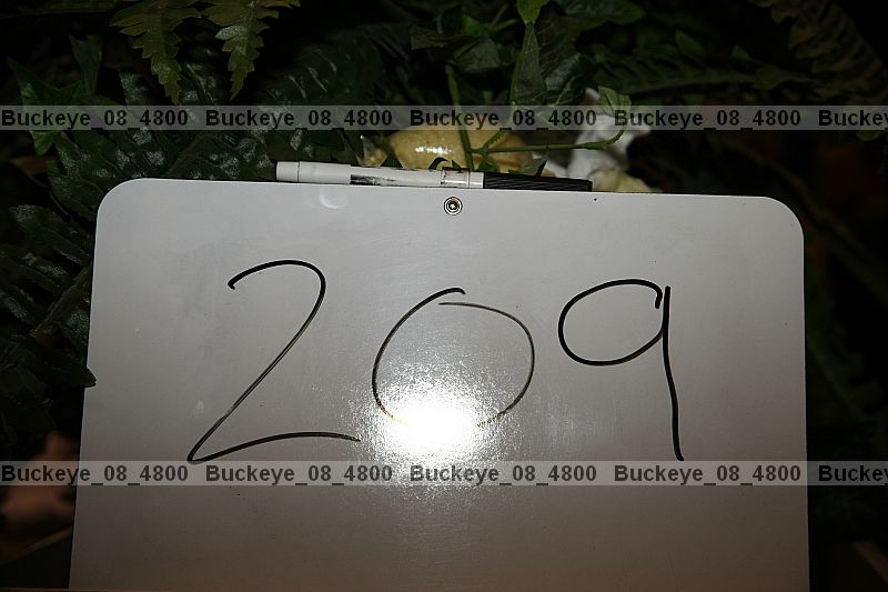 Proof buckeye_08_4800