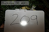 buckeye_08_4800 proof