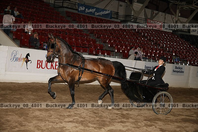 Proof buckeye_08_4801