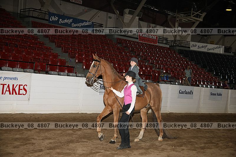 Proof buckeye_08_4807