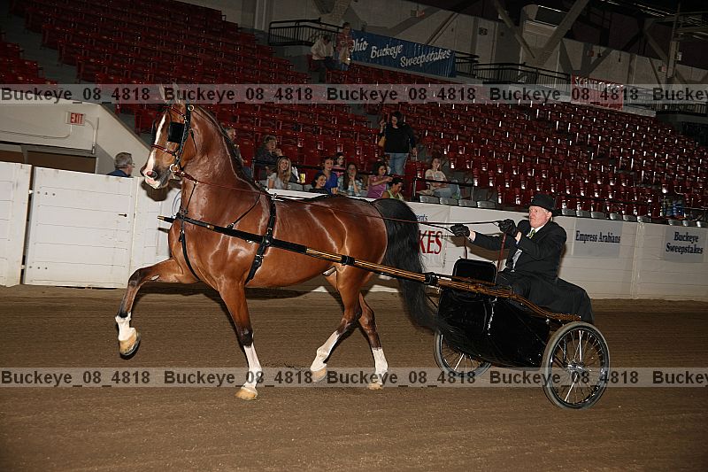 Proof buckeye_08_4818