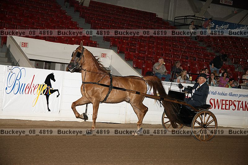 Proof buckeye_08_4819