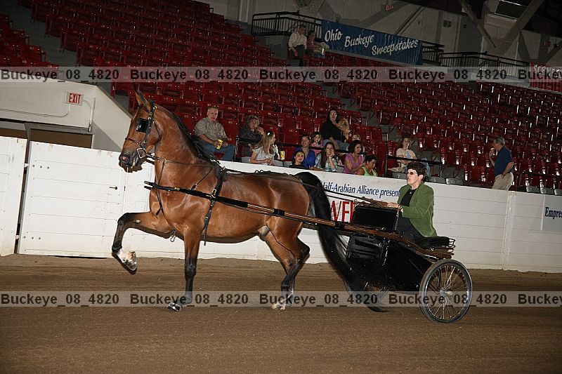 Proof buckeye_08_4820