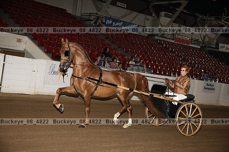 Proof buckeye_08_4822