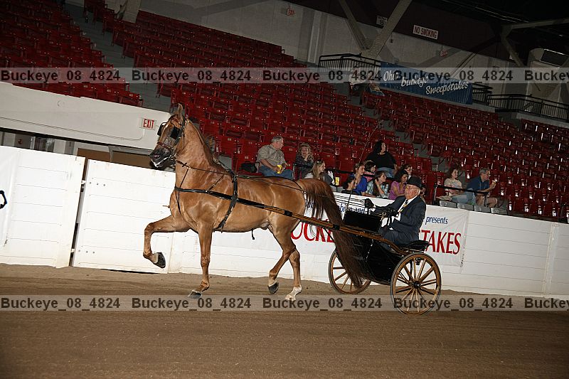 Proof buckeye_08_4824