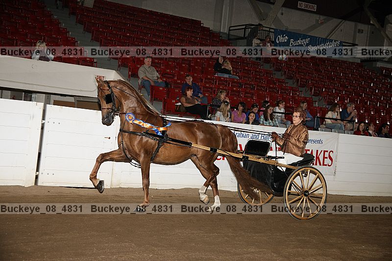 Proof buckeye_08_4831