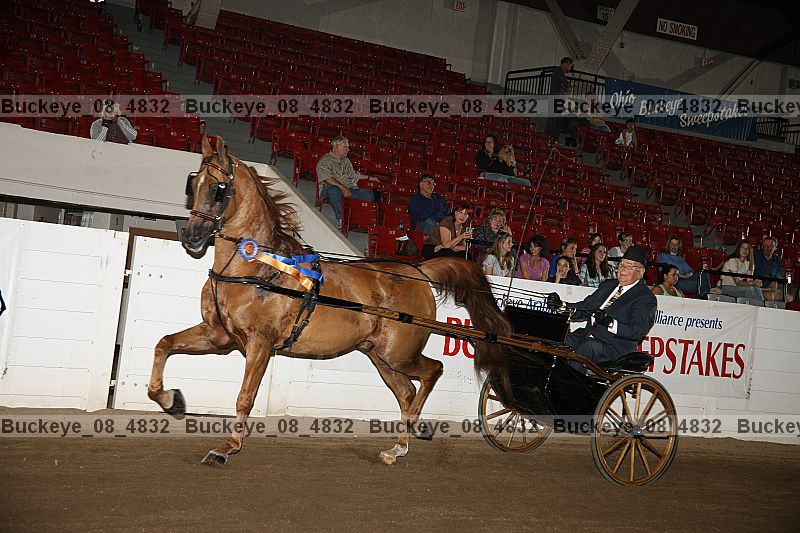 Proof buckeye_08_4832