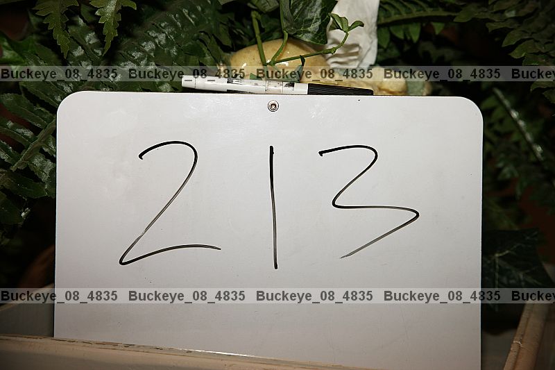 Proof buckeye_08_4835