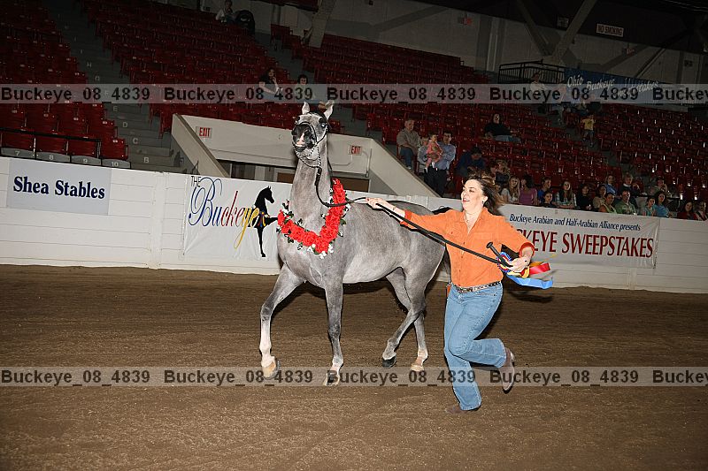 Proof buckeye_08_4839