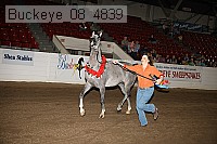 buckeye_08_4839 proof
