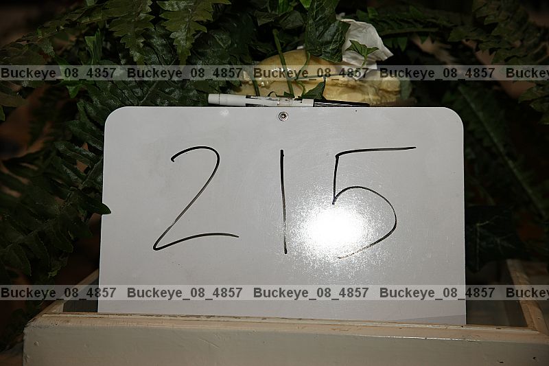 Proof buckeye_08_4857