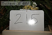 buckeye_08_4857 proof