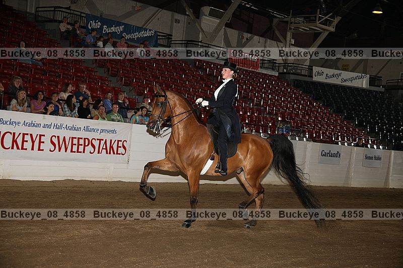 Proof buckeye_08_4858