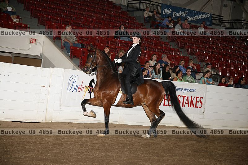 Proof buckeye_08_4859