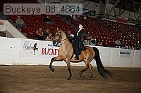 buckeye_08_4864 proof
