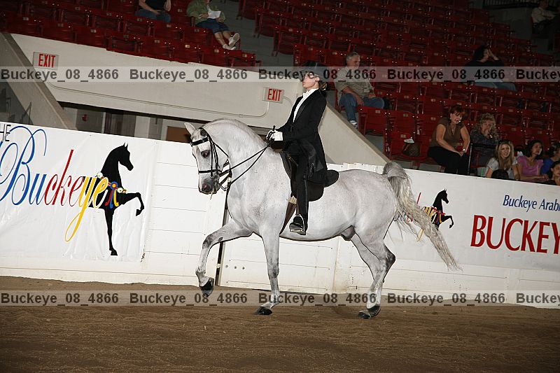 Proof buckeye_08_4866