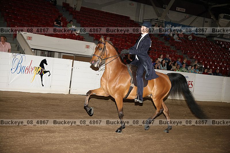 Proof buckeye_08_4867