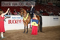 buckeye_08_4876 proof