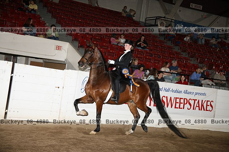 Proof buckeye_08_4880
