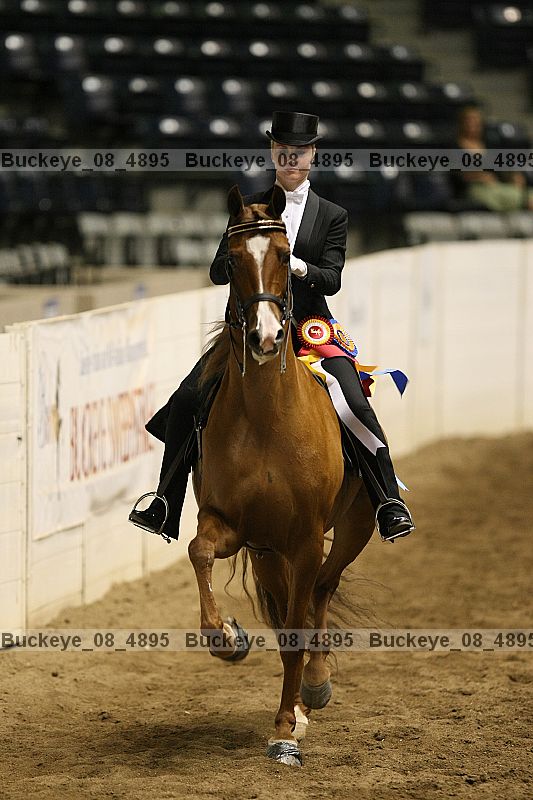 Proof buckeye_08_4895