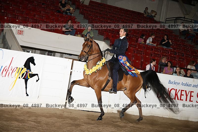 Proof buckeye_08_4897