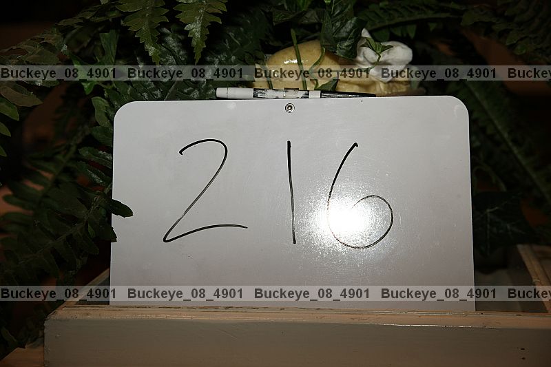 Proof buckeye_08_4901
