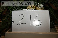 buckeye_08_4901 proof
