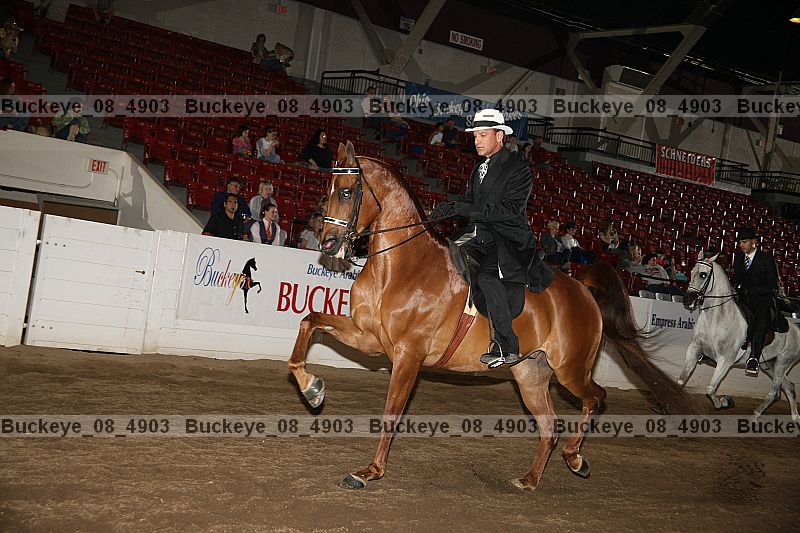 Proof buckeye_08_4903