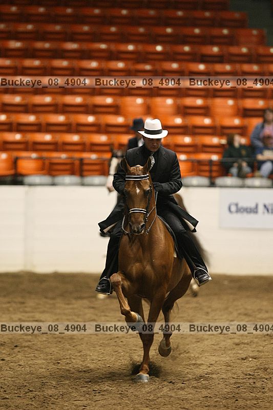 Proof buckeye_08_4904