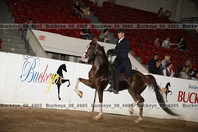 Proof buckeye_08_4905