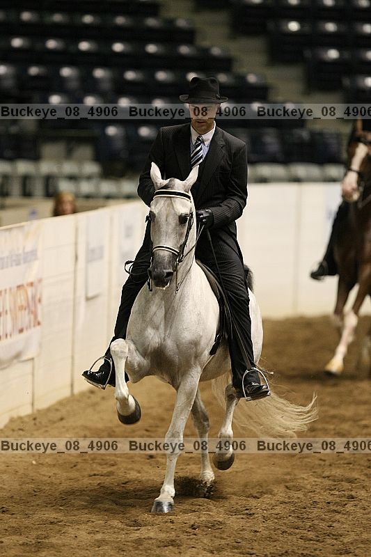 Proof buckeye_08_4906