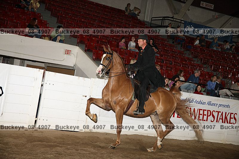 Proof buckeye_08_4907