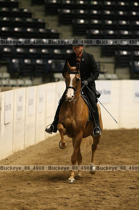 Proof buckeye_08_4908