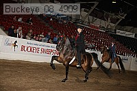buckeye_08_4909 proof