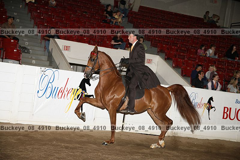 Proof buckeye_08_4910