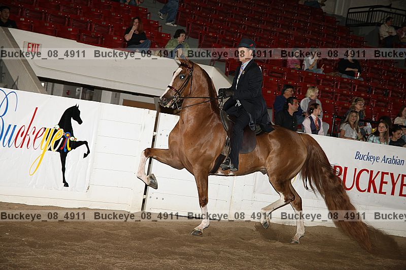 Proof buckeye_08_4911