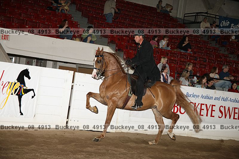 Proof buckeye_08_4913