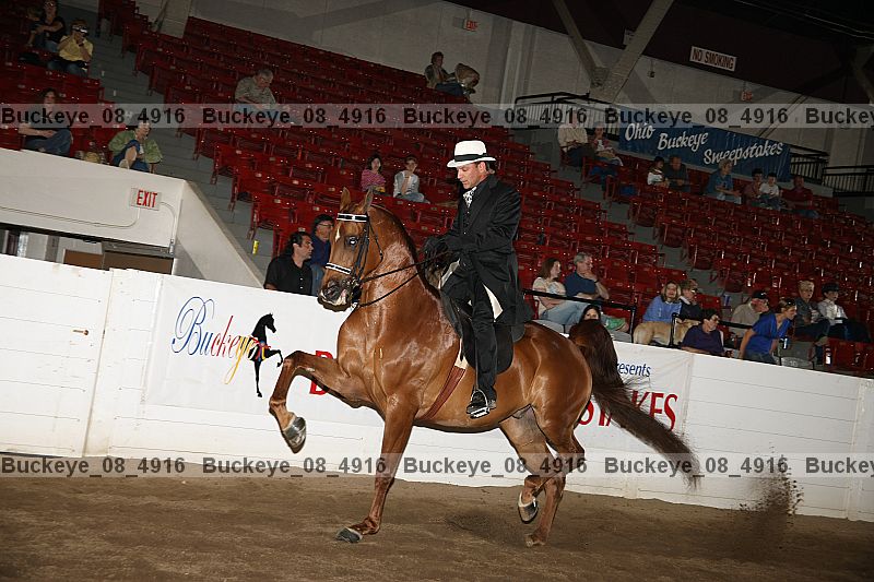 Proof buckeye_08_4916