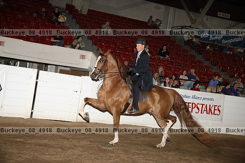 Proof buckeye_08_4918