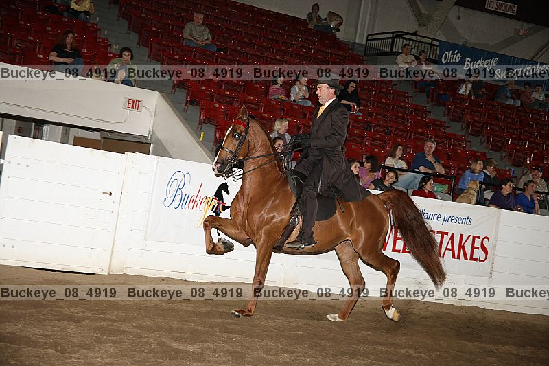 Proof buckeye_08_4919