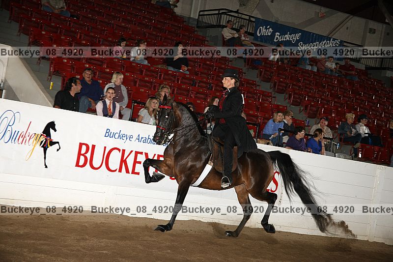 Proof buckeye_08_4920