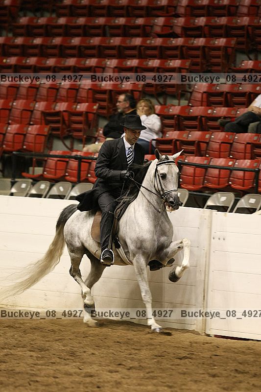 Proof buckeye_08_4927