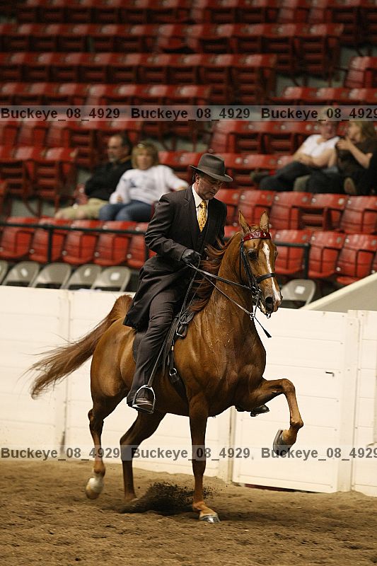 Proof buckeye_08_4929