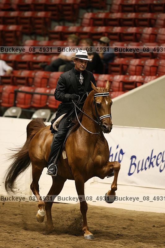 Proof buckeye_08_4931