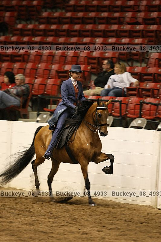Proof buckeye_08_4933