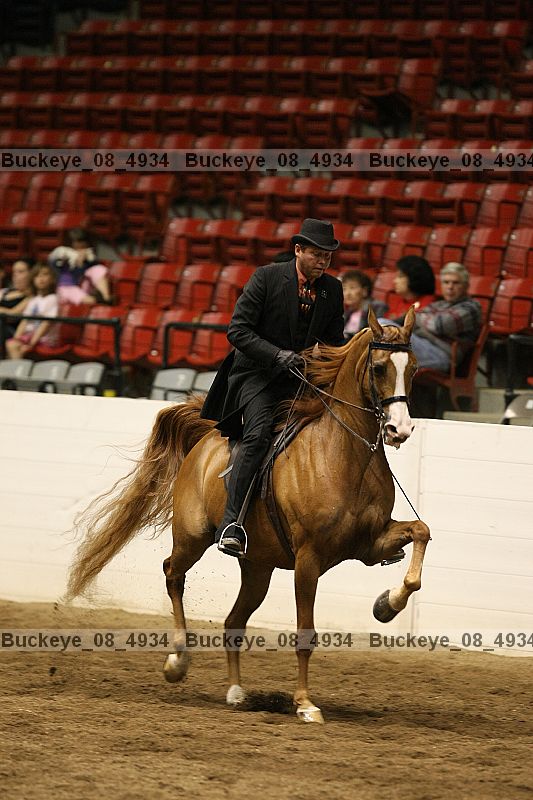 Proof buckeye_08_4934